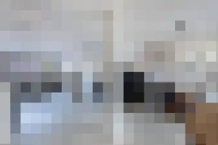 Adriatischestraat 14 Emmeloord thumbnail 16