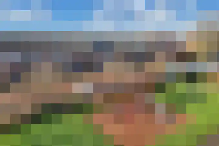 Adriatischestraat 14 Emmeloord thumbnail 7