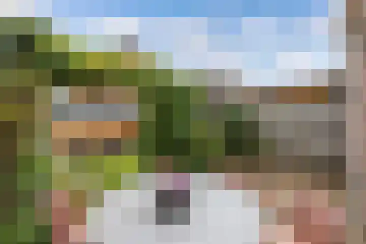 Adriatischestraat 15 Emmeloord thumbnail 26