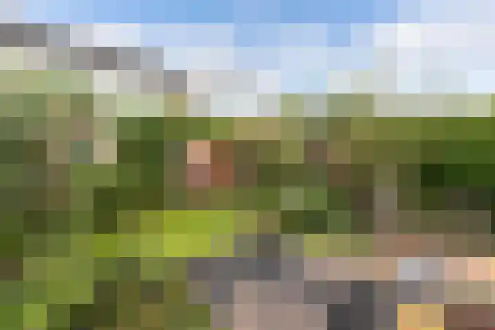 Adriatischestraat 15 Emmeloord thumbnail 27