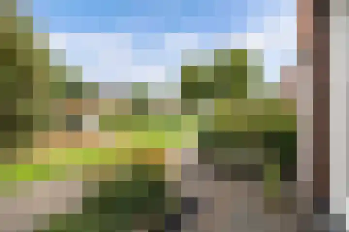 Adriatischestraat 15 Emmeloord thumbnail 31