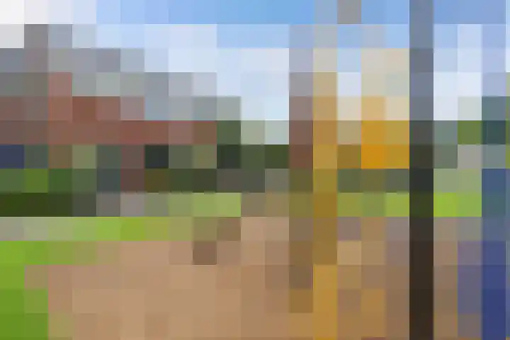 Adriatischestraat 15 Emmeloord thumbnail 33