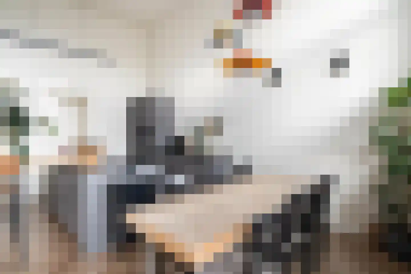 Adrien Mildersstraat 35 J Rotterdam thumbnail 27