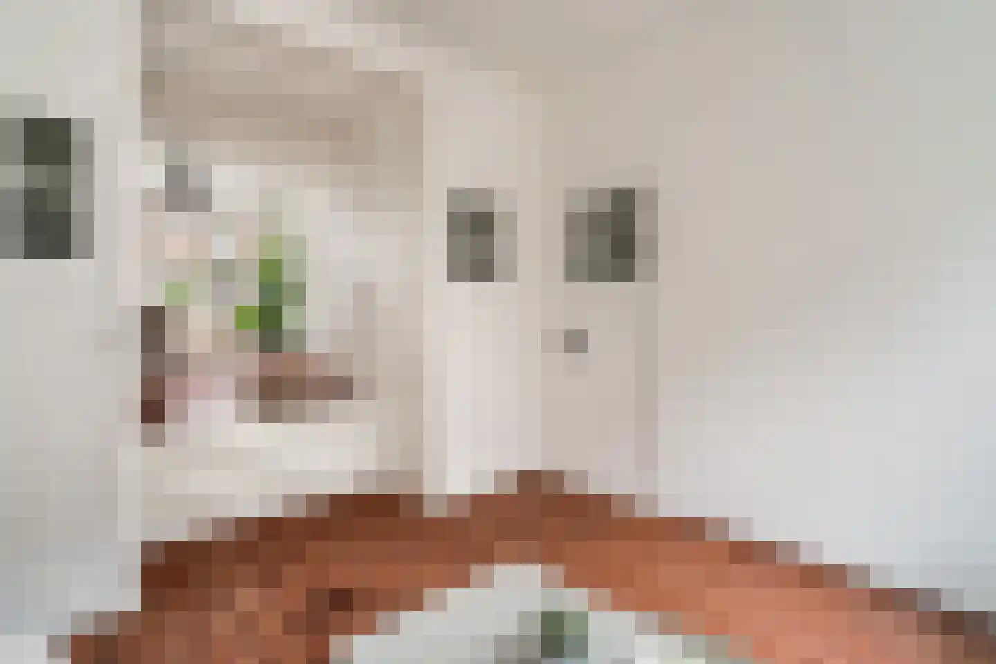 Adrien Mildersstraat 57 B Rotterdam thumbnail 10