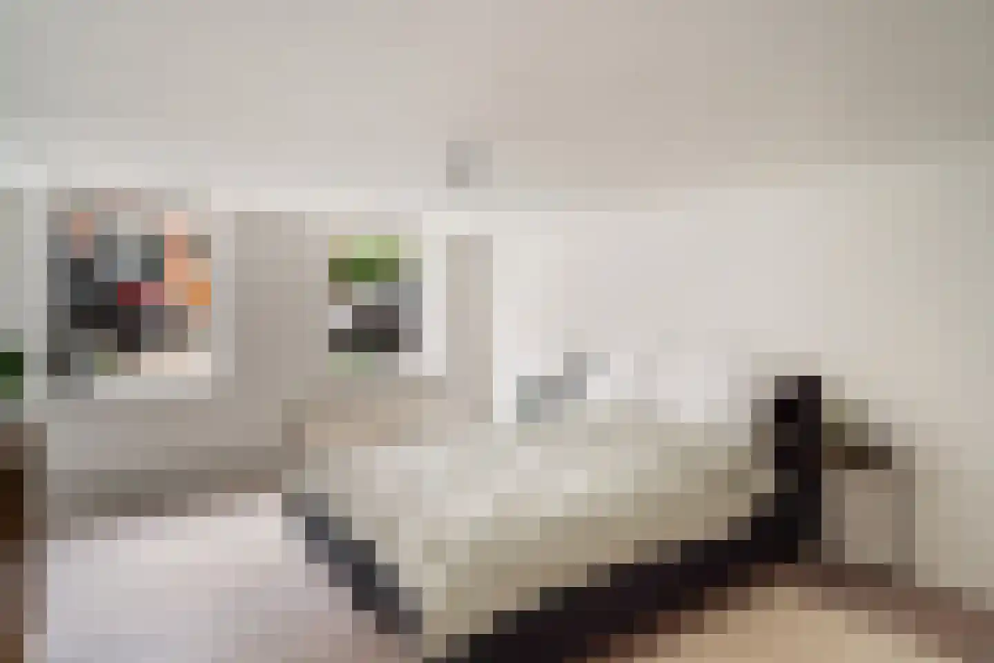 Adrien Mildersstraat 57 B Rotterdam thumbnail 29