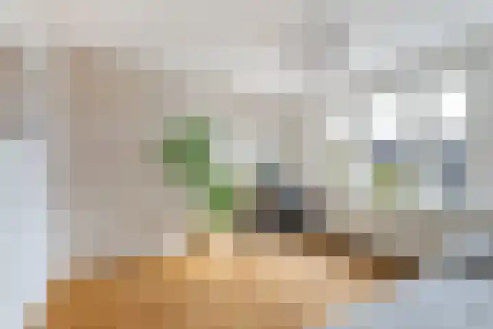 Adrien Mildersstraat 71 B Rotterdam thumbnail 27