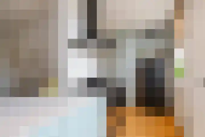 Adrien Mildersstraat 71 B Rotterdam thumbnail 8