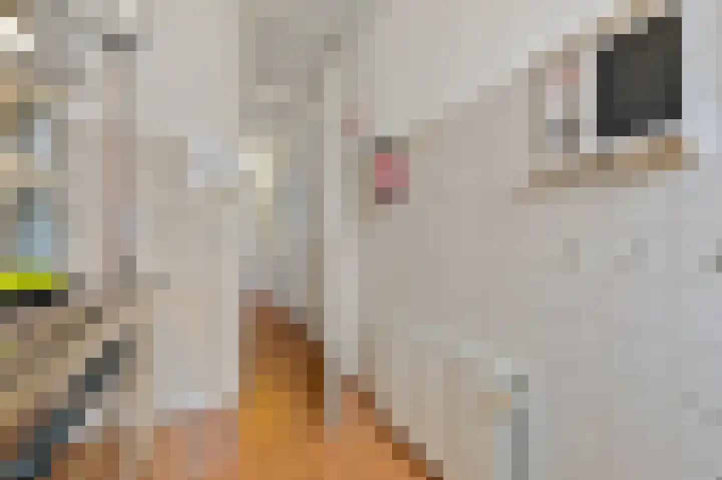 Adrien Mildersstraat 78 B 01 Rotterdam thumbnail 15