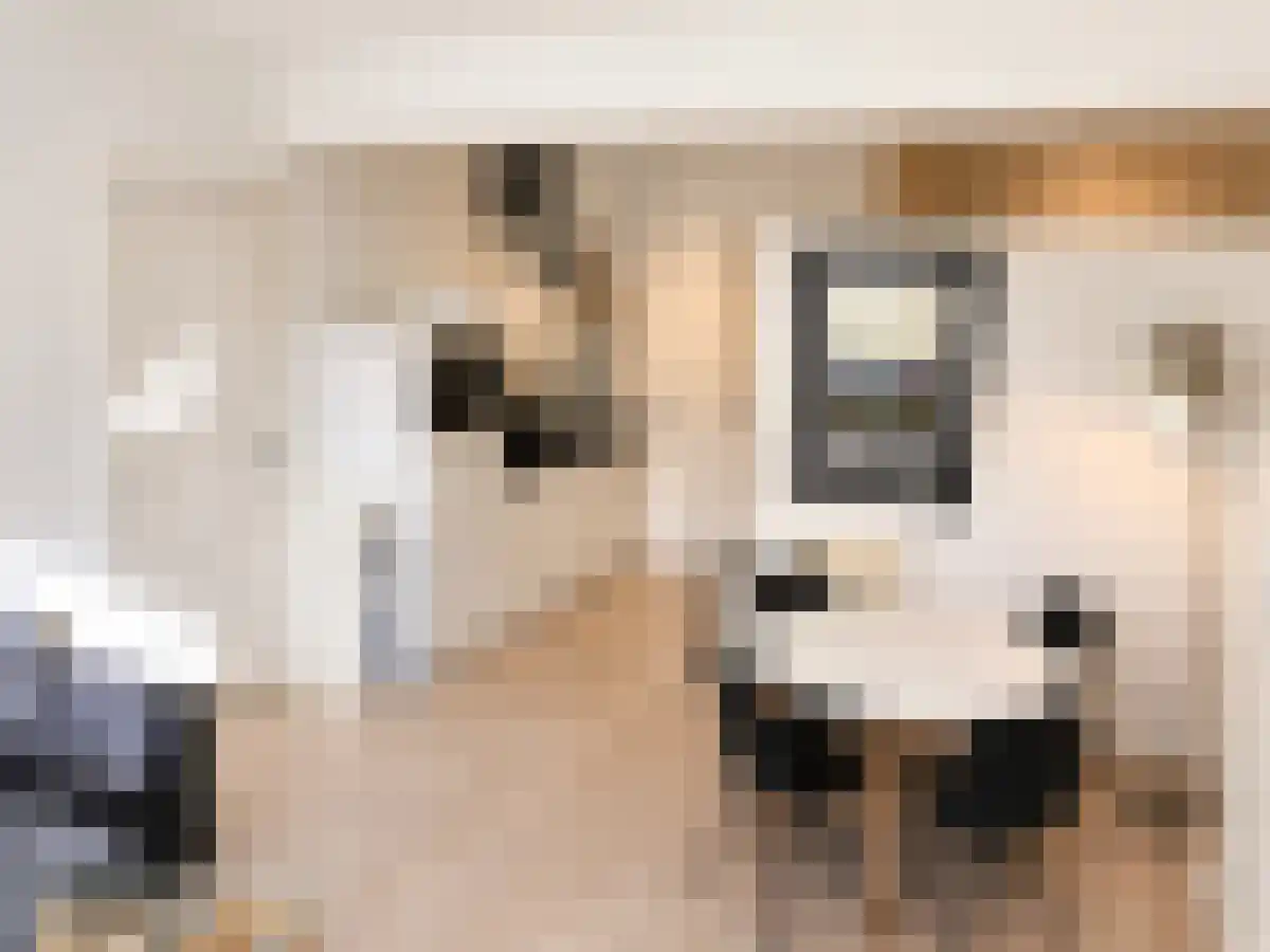Adrien Mildersstraat 82 Rotterdam thumbnail 6
