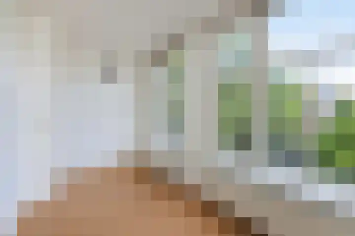 Adrien Mildersstraat 90 A 01 Rotterdam thumbnail 5