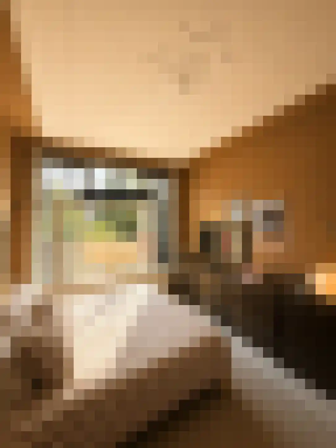 Adrien Mildersstraat 94 Rotterdam thumbnail 6