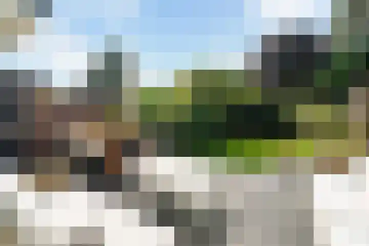 Adriën Moonenweg 22 Den Haag thumbnail 21
