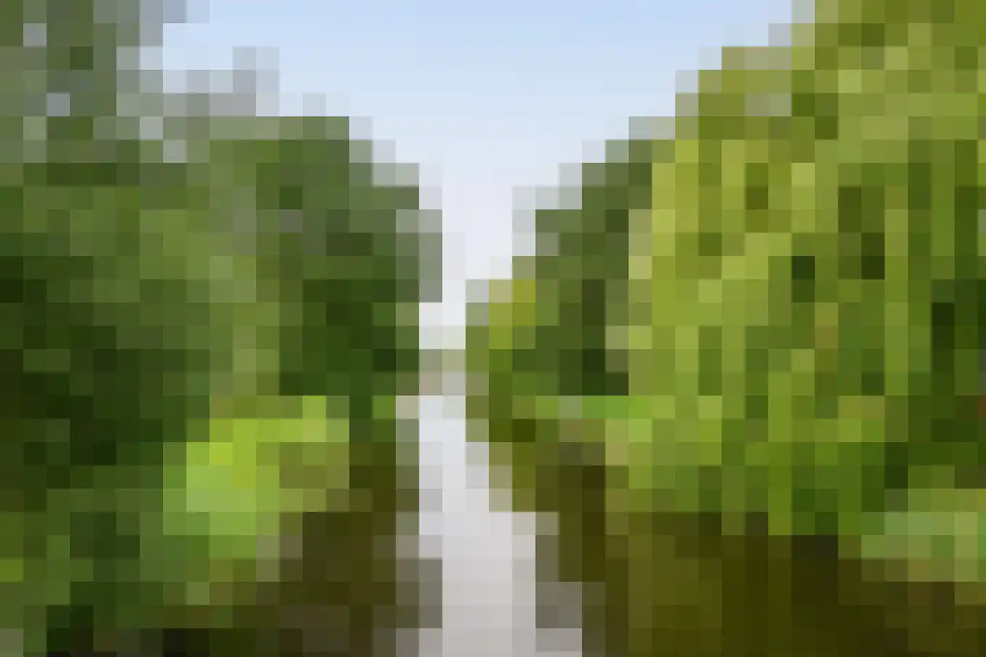 Adrienne Solserstraat 12 Almere thumbnail 34