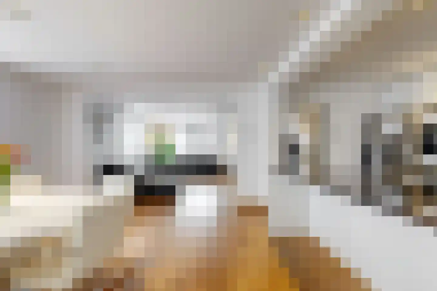 Adsteeg 26 Beek thumbnail 12