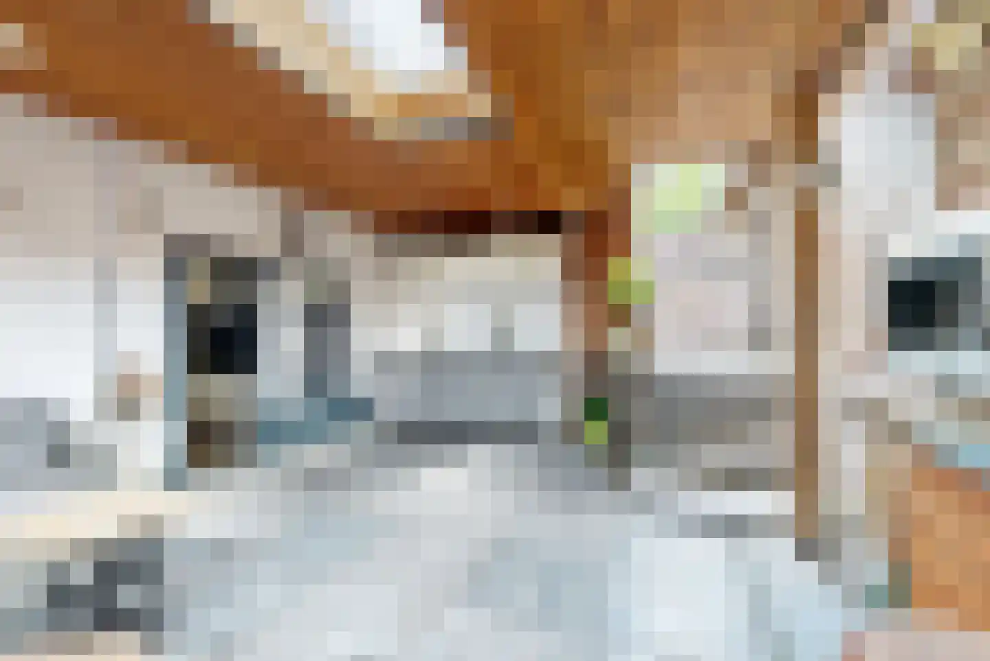 Adsteeg 26 Beek thumbnail 17
