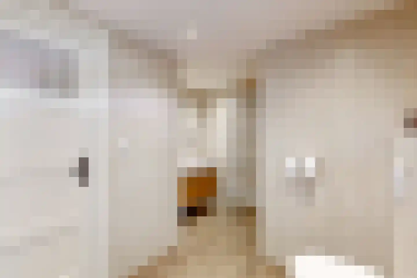 Adsteeg 26 Beek thumbnail 26
