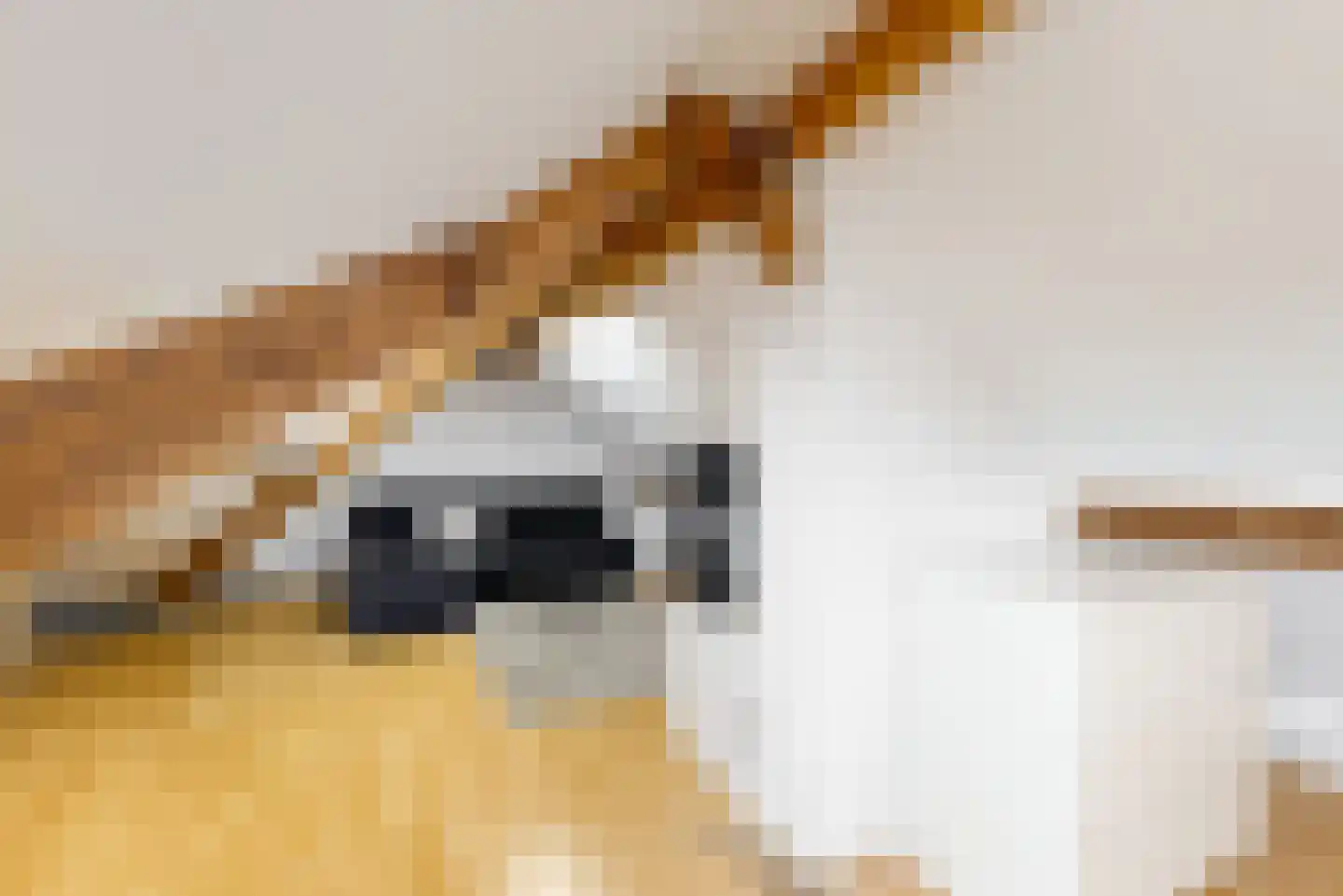 Adsteeg 26 Beek thumbnail 35
