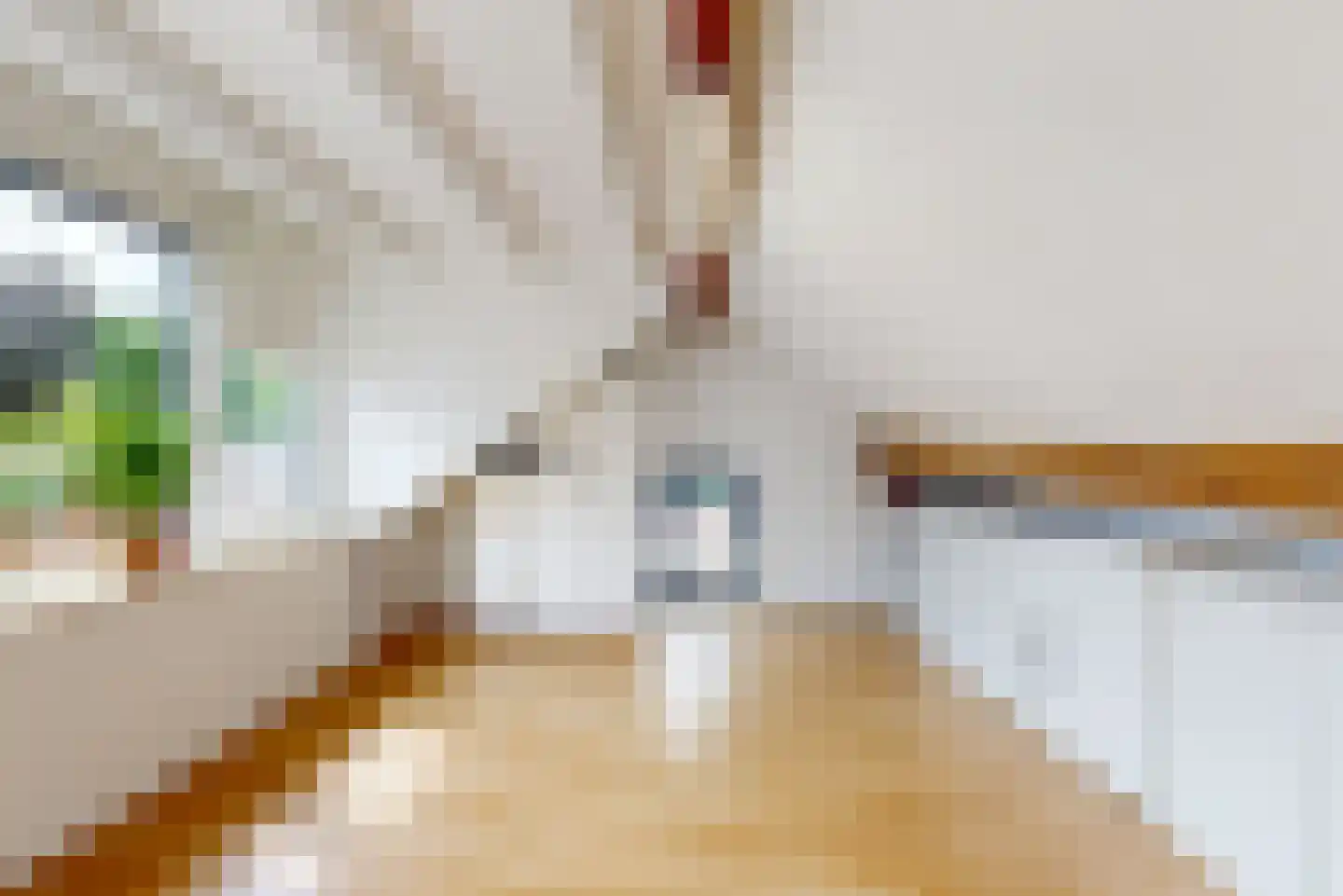 Adsteeg 26 Beek thumbnail 38