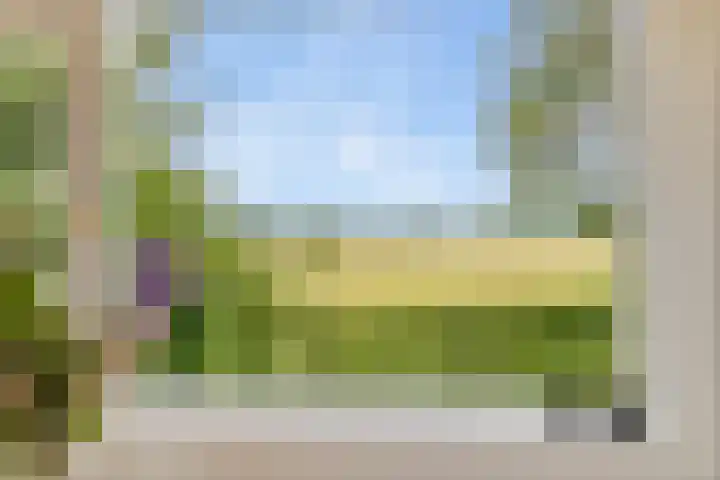 Aduarderdiep 19 Feerwerd thumbnail 10