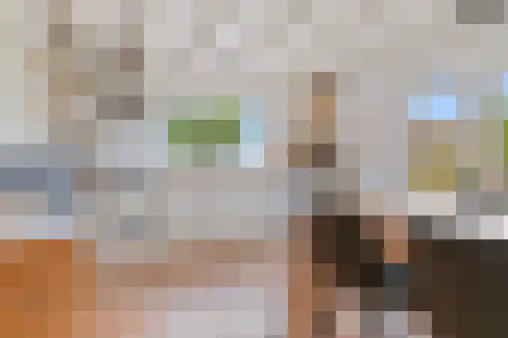 Aduarderdiep 19 Feerwerd thumbnail 11