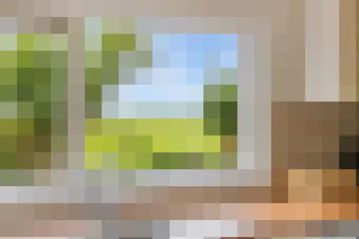 Aduarderdiep 19 Feerwerd thumbnail 14