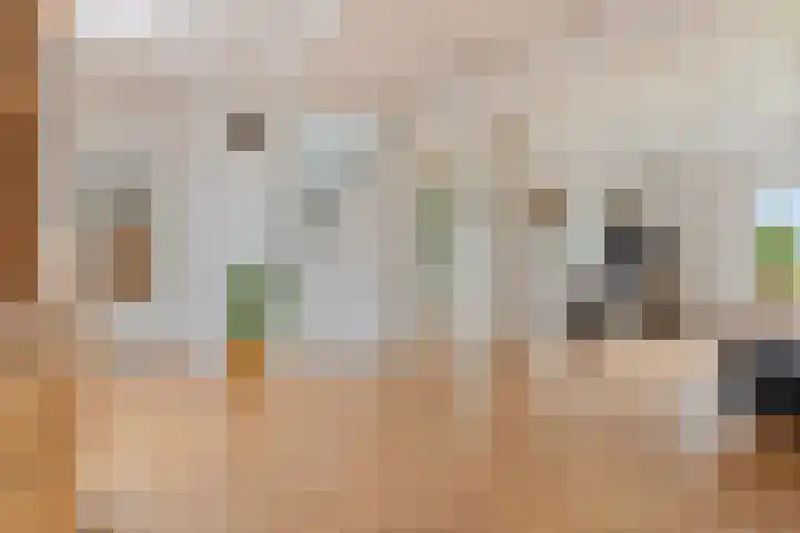 Aduarderdiep 19 Feerwerd thumbnail 22