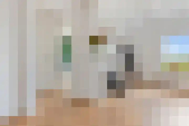 Aduarderdiep 19 Feerwerd thumbnail 23
