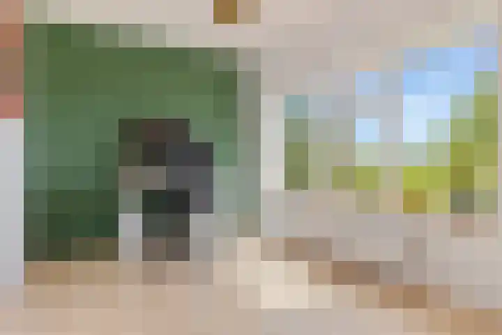 Aduarderdiep 19 Feerwerd thumbnail 24