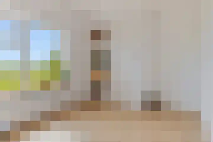 Aduarderdiep 19 Feerwerd thumbnail 25