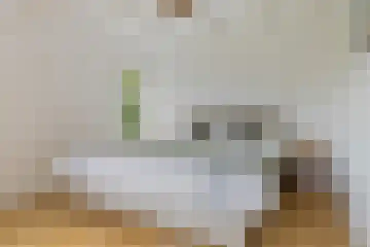 Aduarderdiep 19 Feerwerd thumbnail 26
