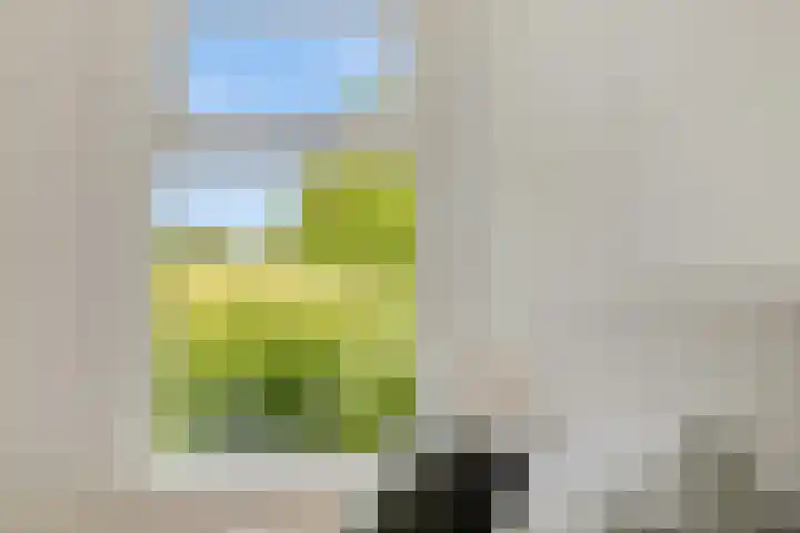 Aduarderdiep 19 Feerwerd thumbnail 27