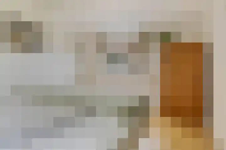 Aduarderdiep 19 Feerwerd thumbnail 28