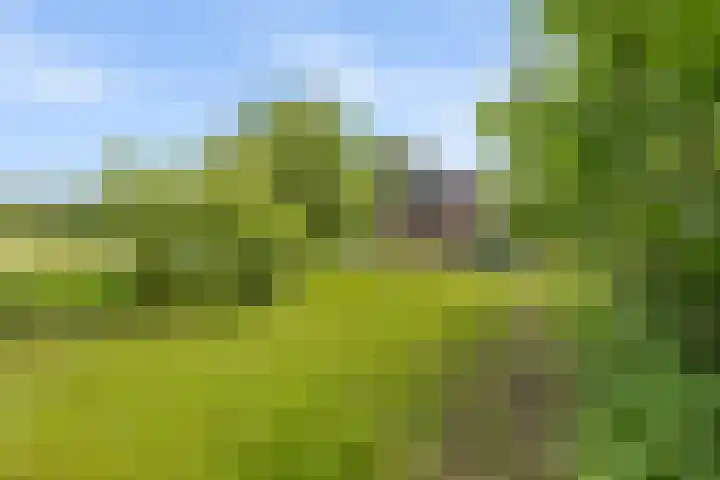 Aduarderdiep 19 Feerwerd thumbnail 38