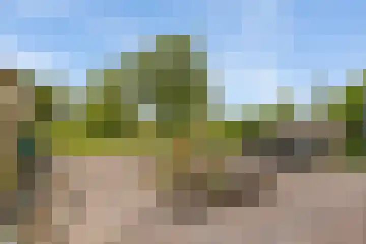 Aduarderdiep 19 Feerwerd thumbnail 39