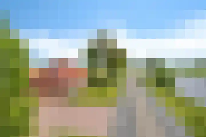 Aduarderdiep 19 Feerwerd thumbnail 4