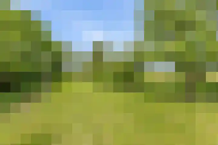 Aduarderdiep 19 Feerwerd thumbnail 41