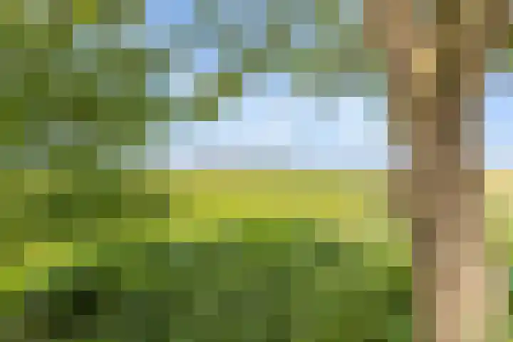Aduarderdiep 19 Feerwerd thumbnail 42