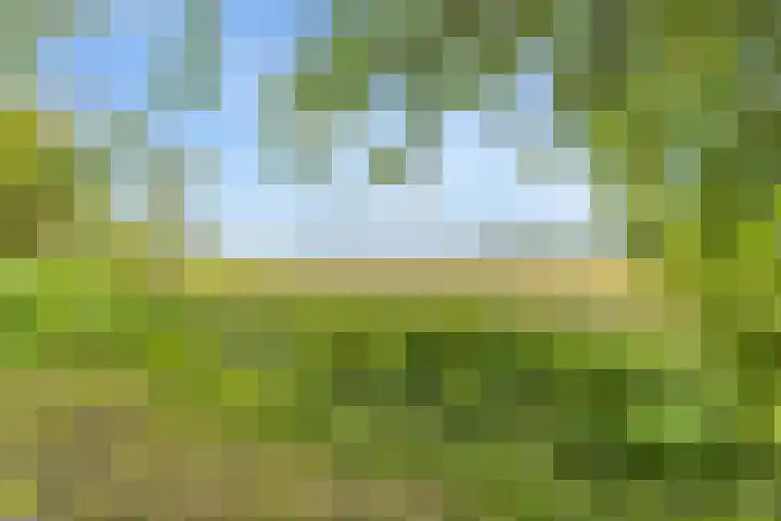 Aduarderdiep 19 Feerwerd thumbnail 43