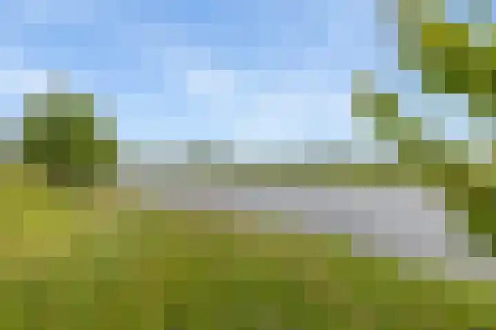 Aduarderdiep 19 Feerwerd thumbnail 44