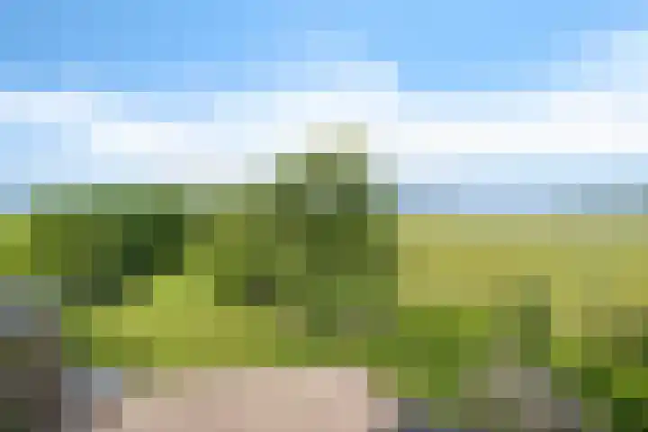 Aduarderdiep 19 Feerwerd thumbnail 45