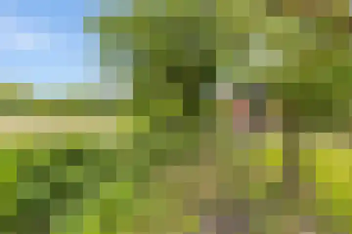 Aduarderdiep 19 Feerwerd thumbnail 46