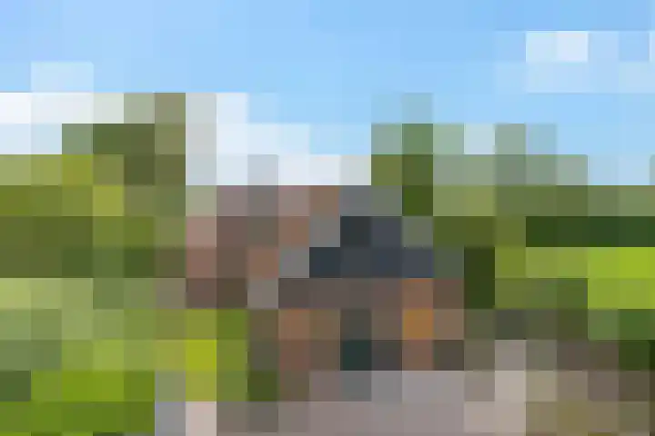 Aduarderdiep 19 Feerwerd thumbnail 48