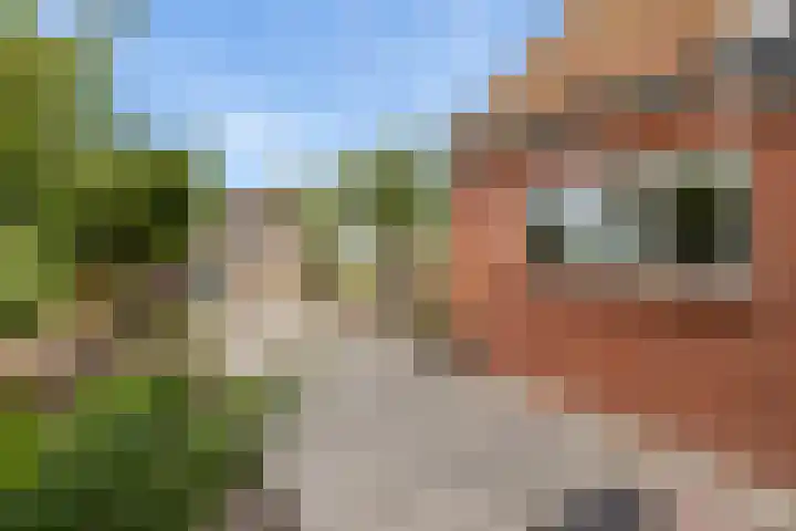 Aduarderdiep 19 Feerwerd thumbnail 51