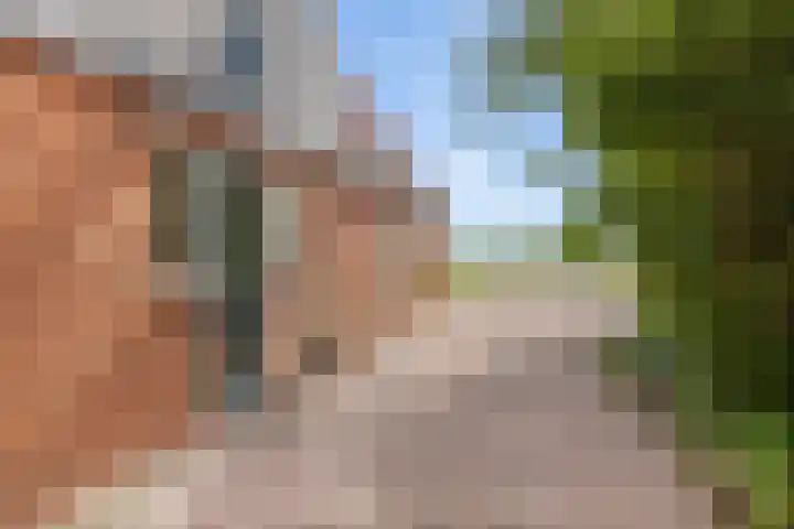 Aduarderdiep 19 Feerwerd thumbnail 6
