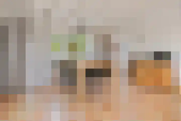 Aduarderdiep 19 Feerwerd thumbnail 9