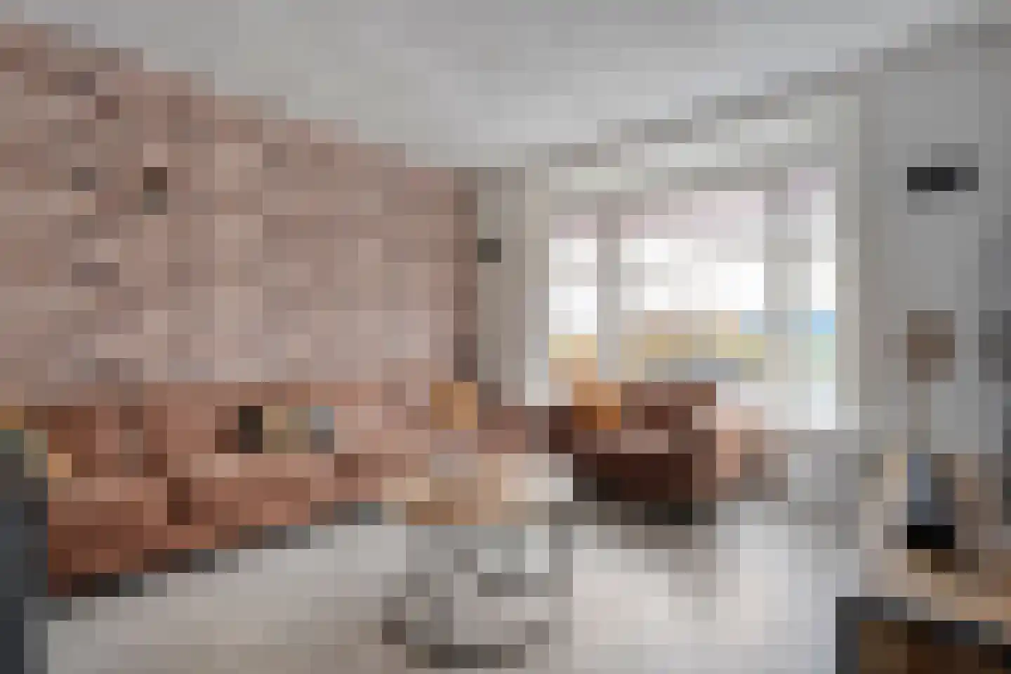 Aduarderdiepsterweg 3 Groningen thumbnail 11