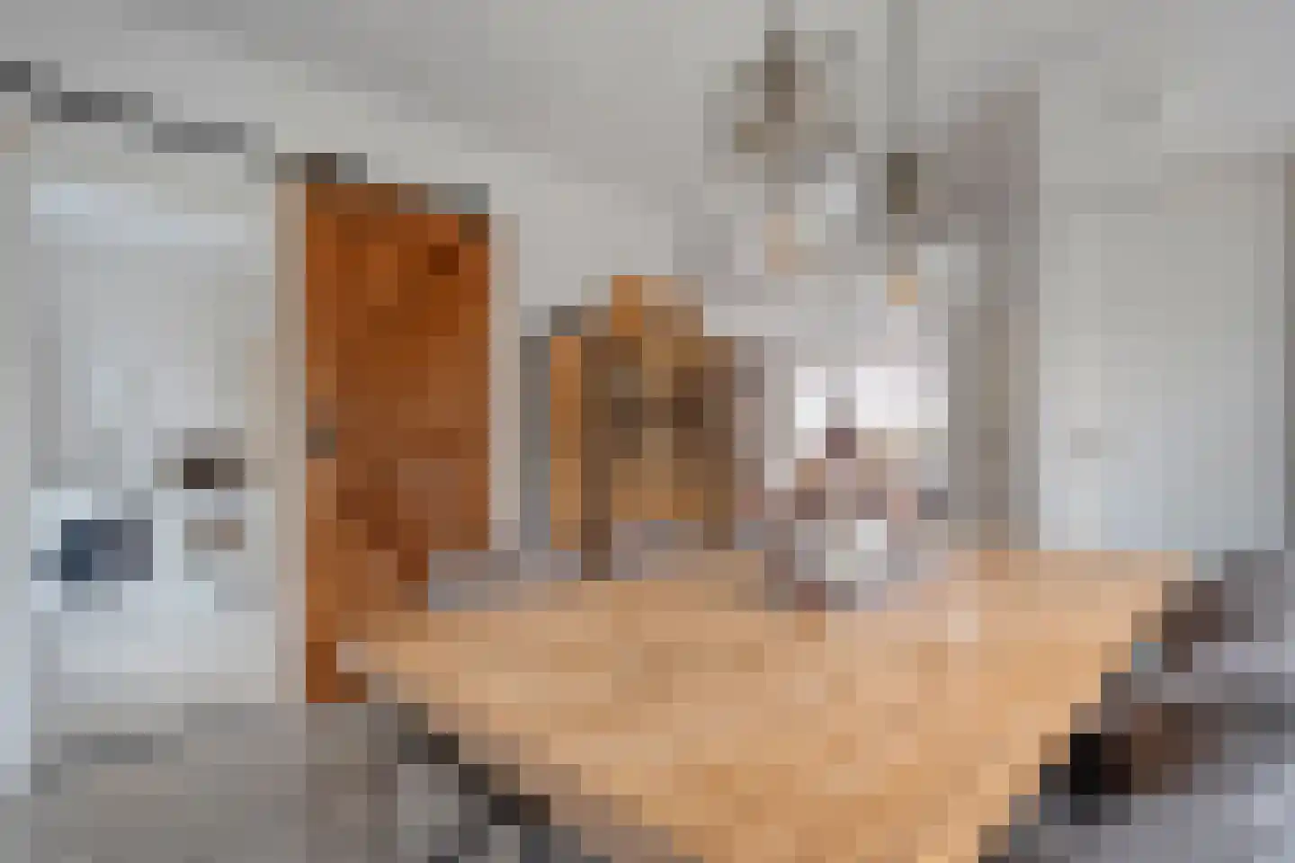 Aduarderdiepsterweg 3 Groningen thumbnail 18