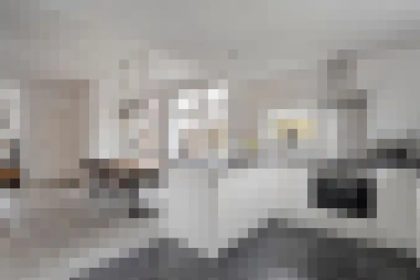 Aduarderdiepsterweg 3 Groningen thumbnail 20