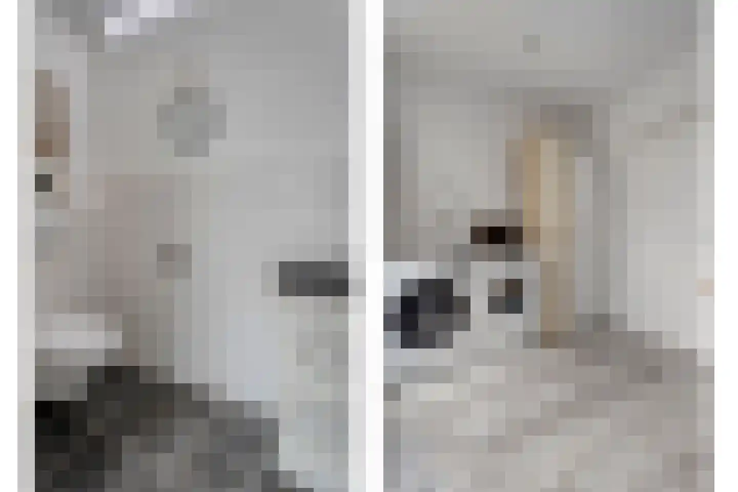 Aduarderdiepsterweg 3 Groningen thumbnail 24