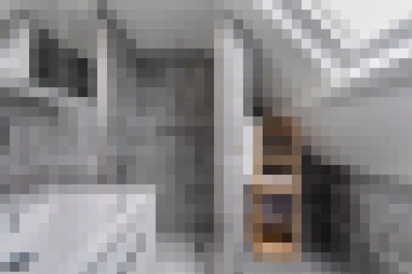 Aduarderdiepsterweg 3 Groningen thumbnail 29